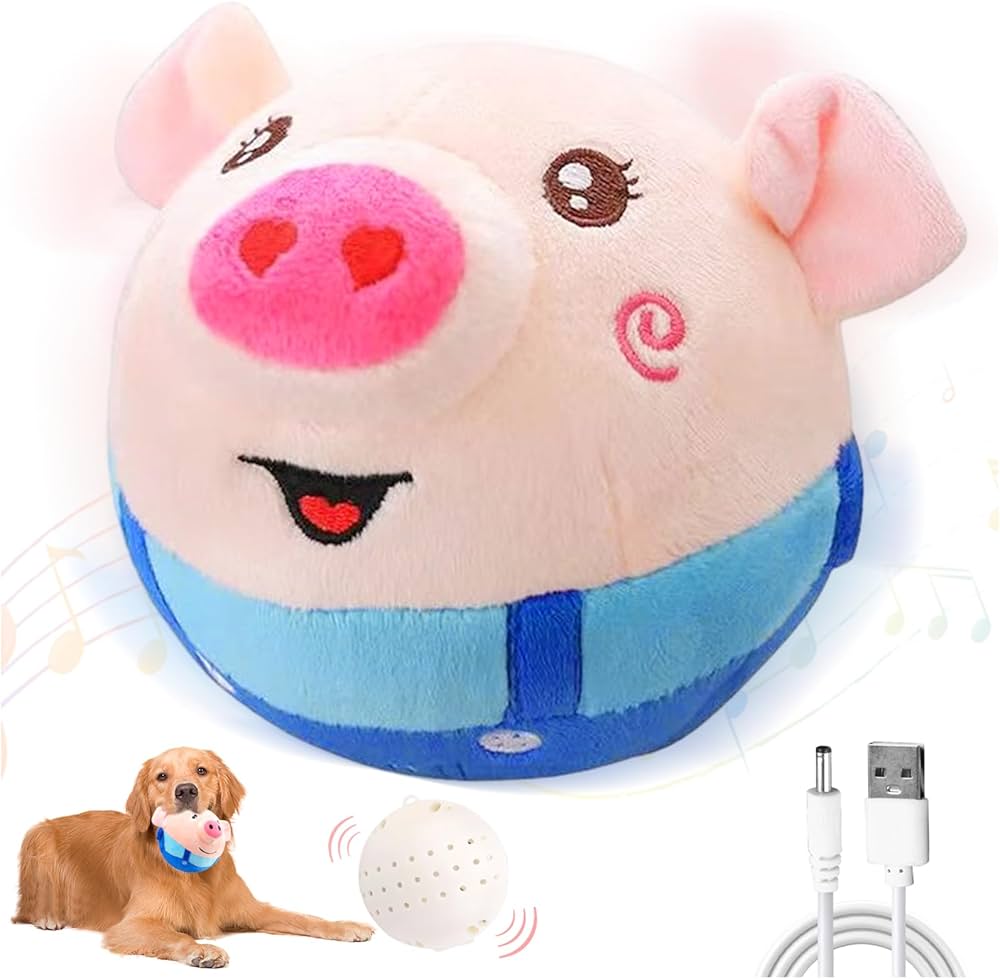 PiggyBall™