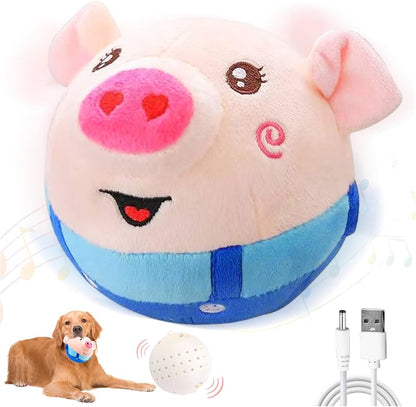 PiggyBall™