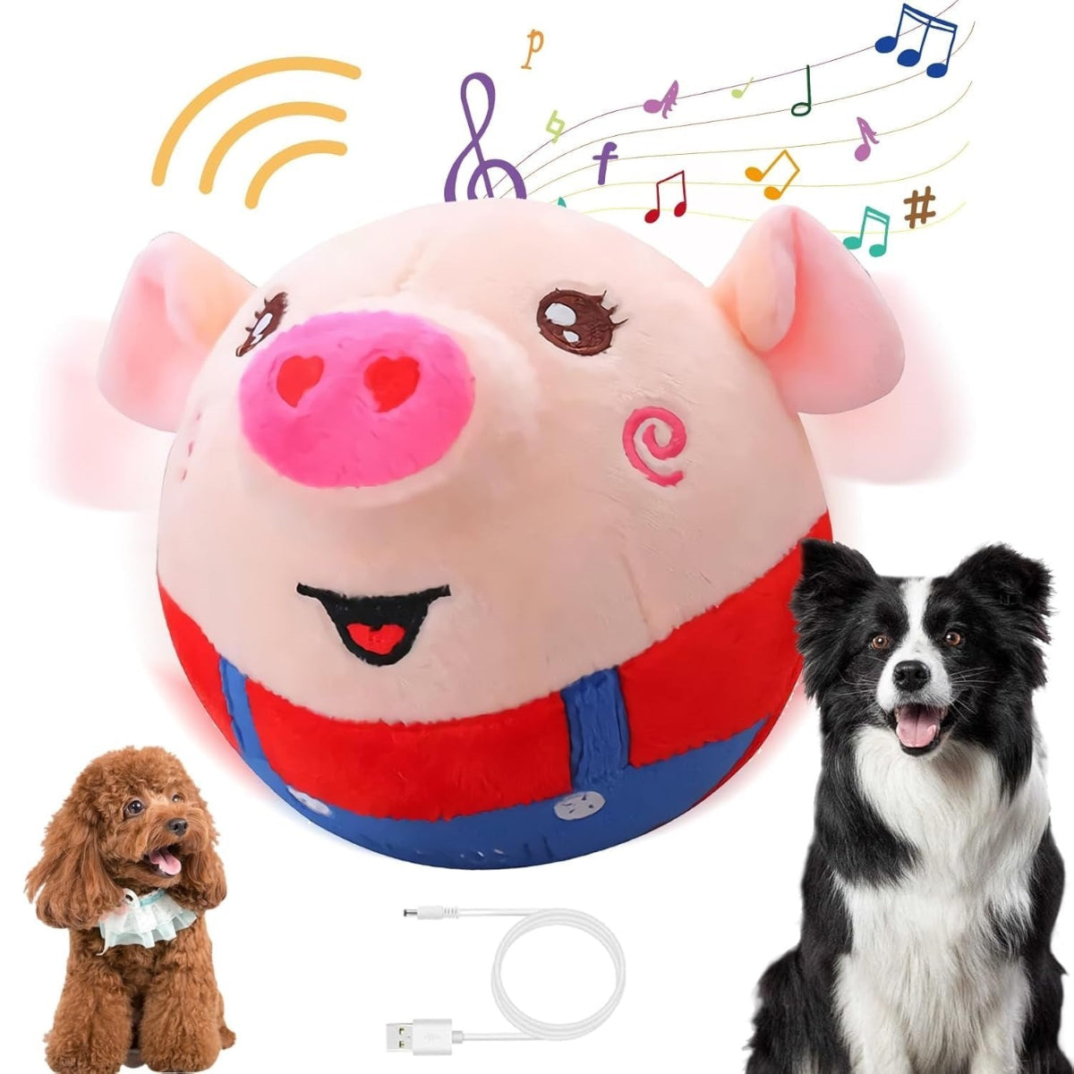 PiggyBall™