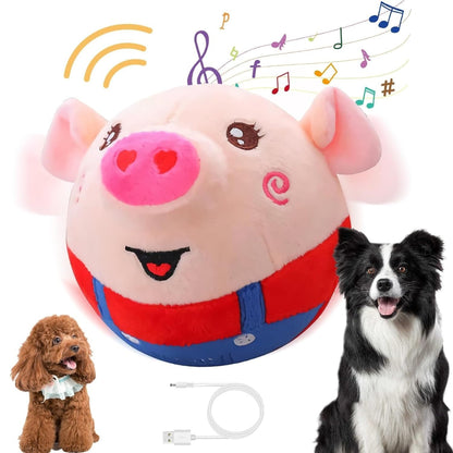 PiggyBall™